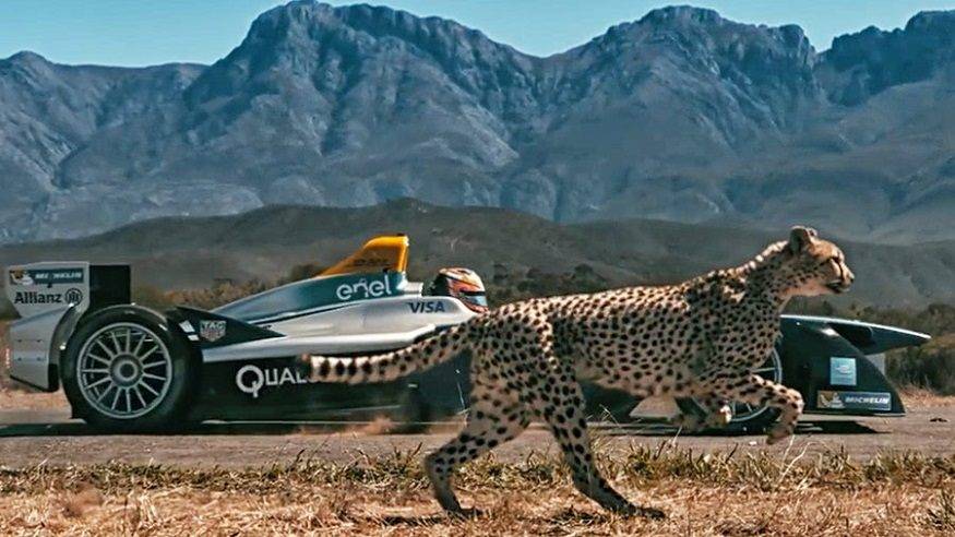 Cheetah | grand theft wiki | fandom