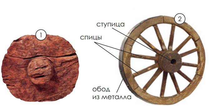 Как выглядит колесо с 7 спицами. Первое колесо со ступицей. Первое колесо со спицами. Древнее колесо со ступицей. Древнее колесо со спицами.