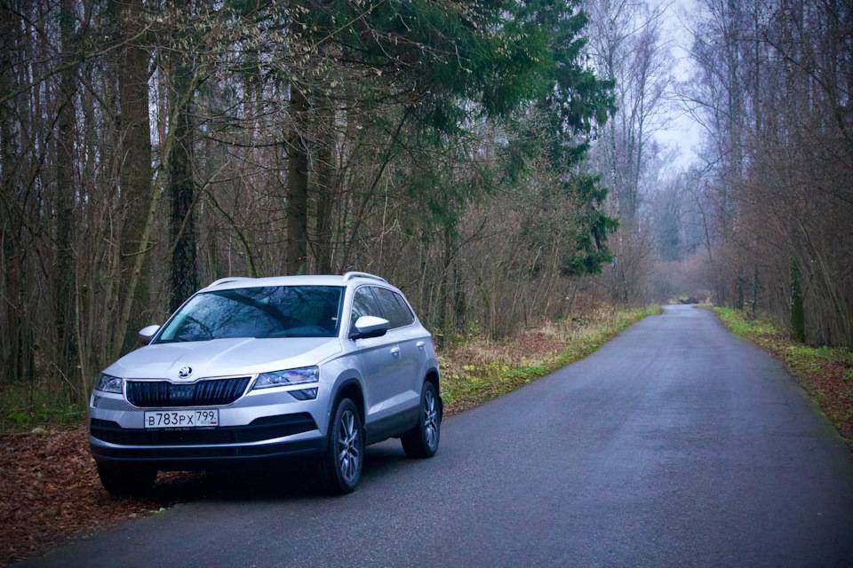 Сравнение kia seltos и skoda karoq
