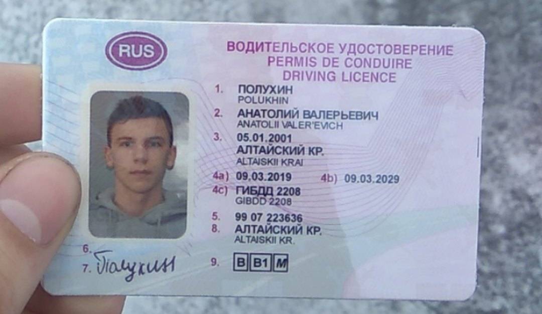 В России ввели новые водительские права